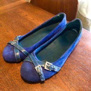 Blue Flats
